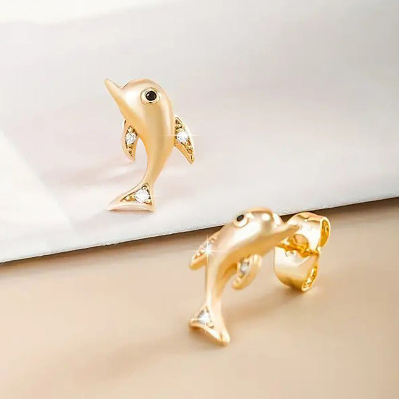 Stunning Piece for Daily Wear
