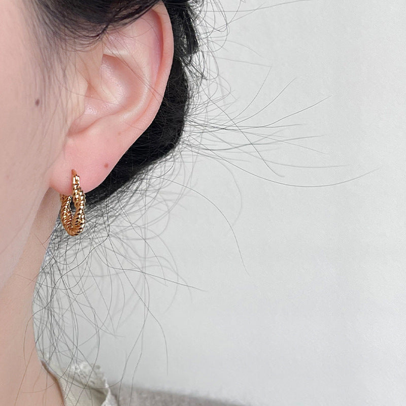 Charming Earring for Any Occasion