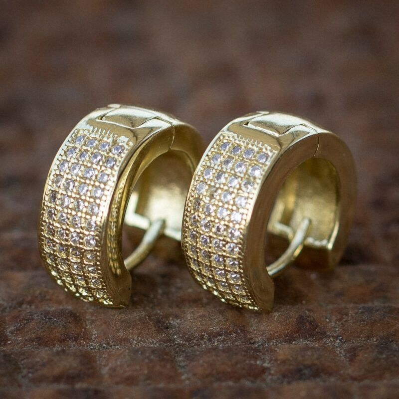 Charming Earring for Any Occasion