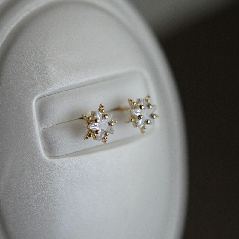 Delicate Artisan Earring