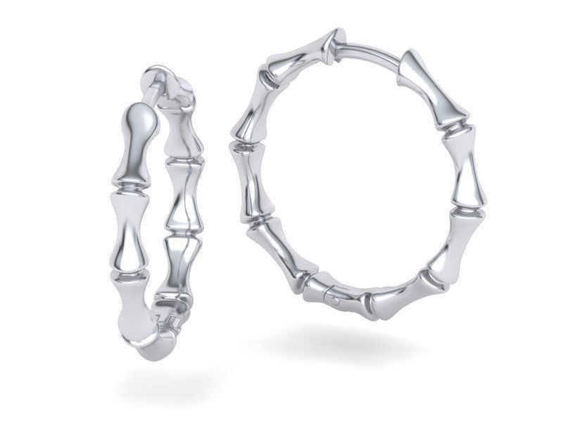 Charming Earring for Any Occasion