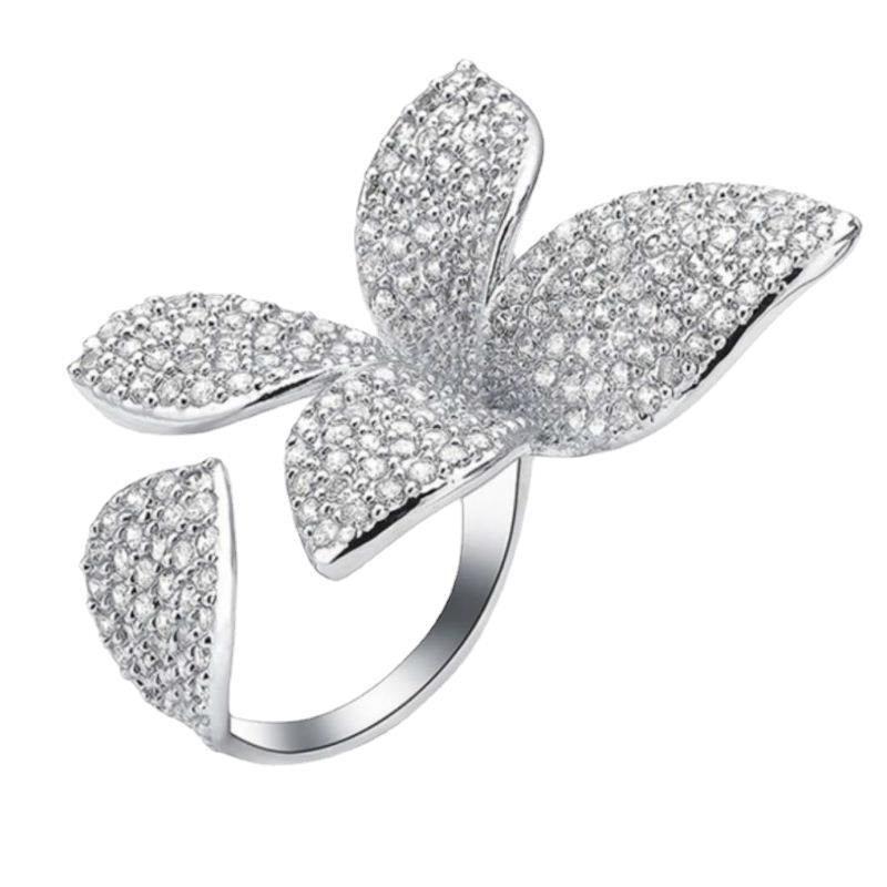 Stunning Set for Daily Wear