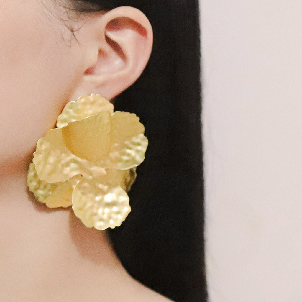 Charming Earring for Any Occasion