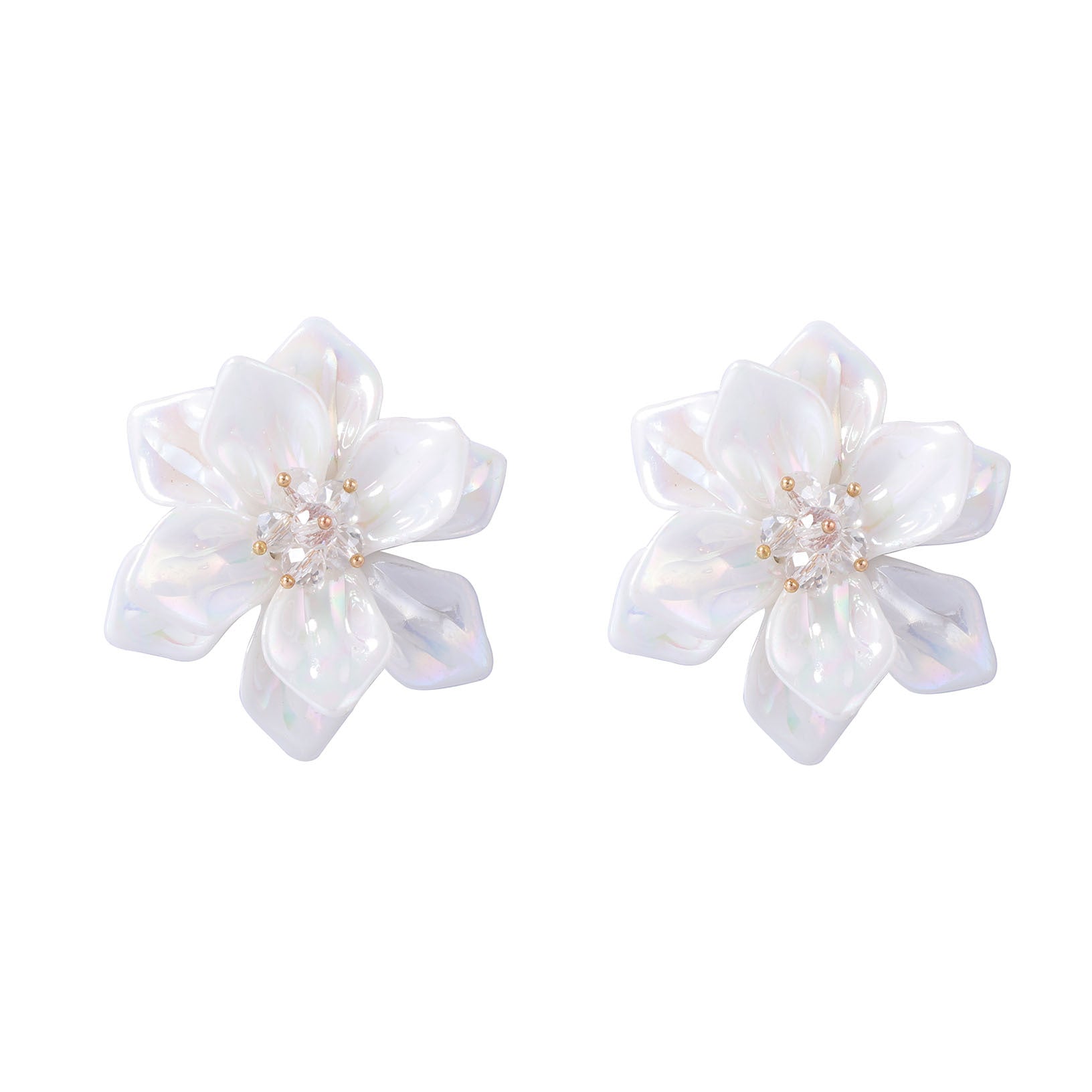 Charming Earring for Any Occasion