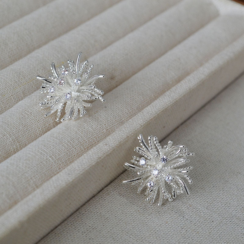 Beautiful Silver Earring with Unique Style