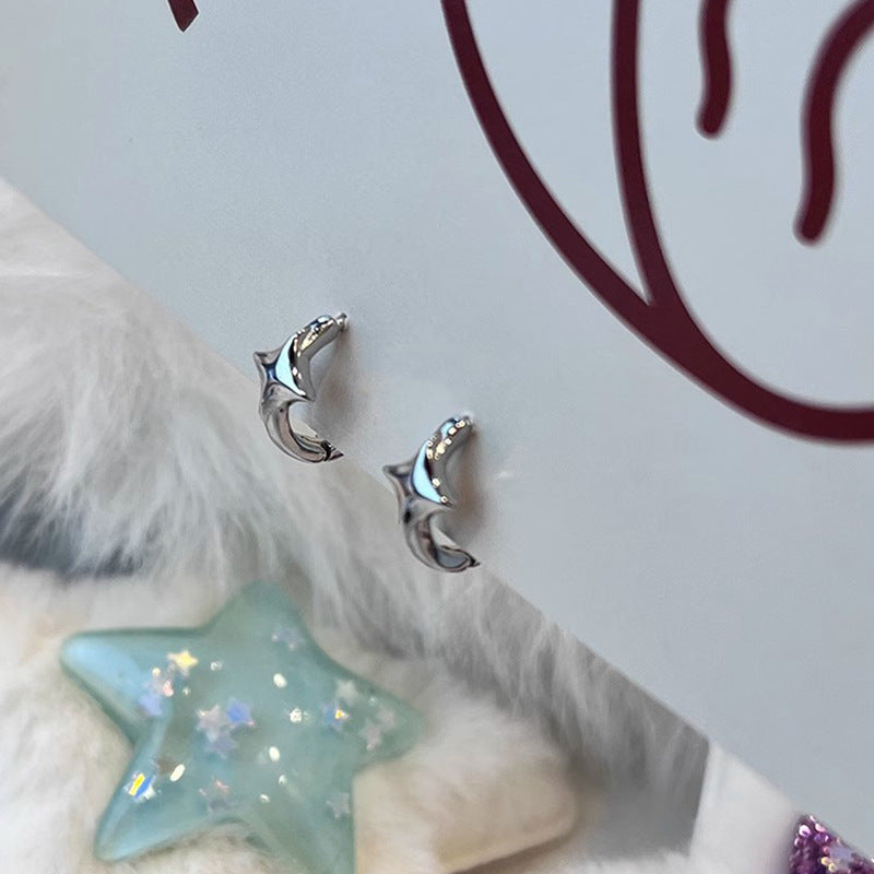 Romantic Earring for Special Moments