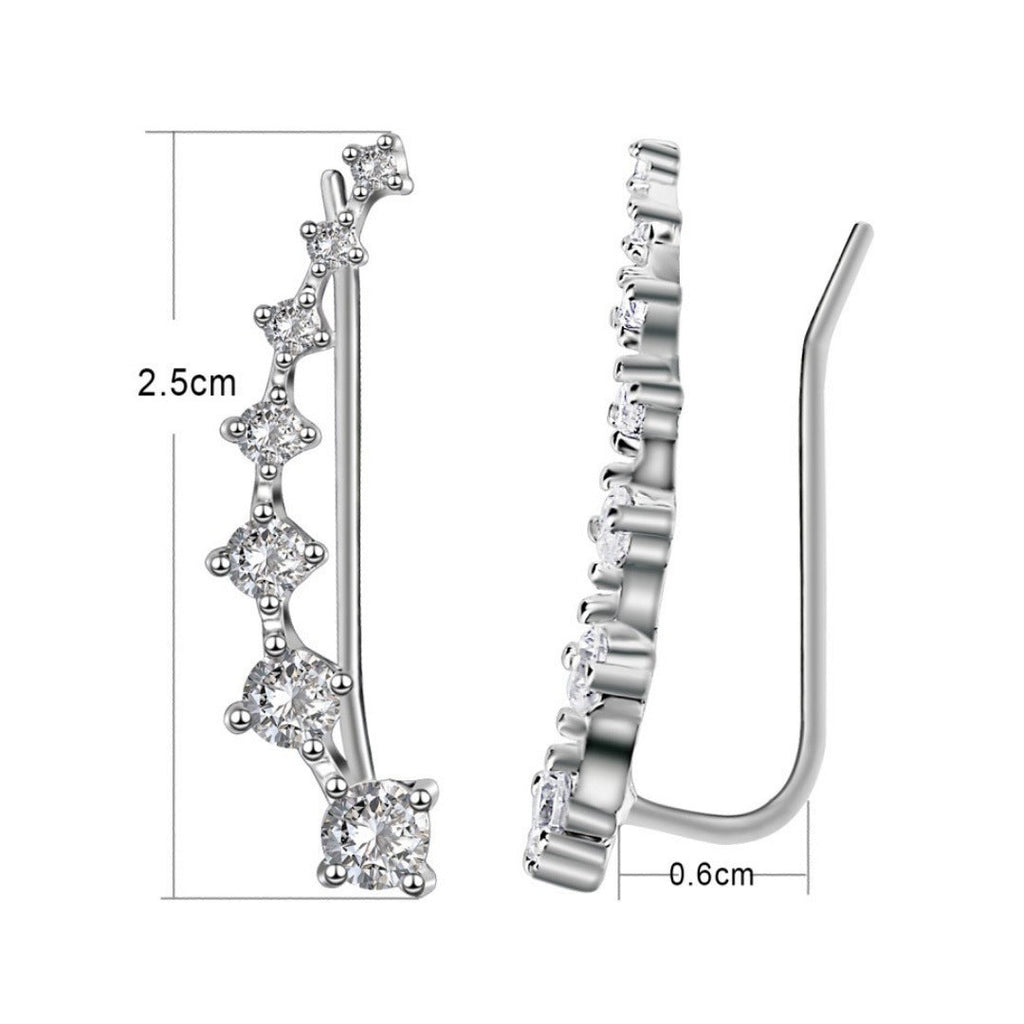 Classic Earring with Timeless Appeal
