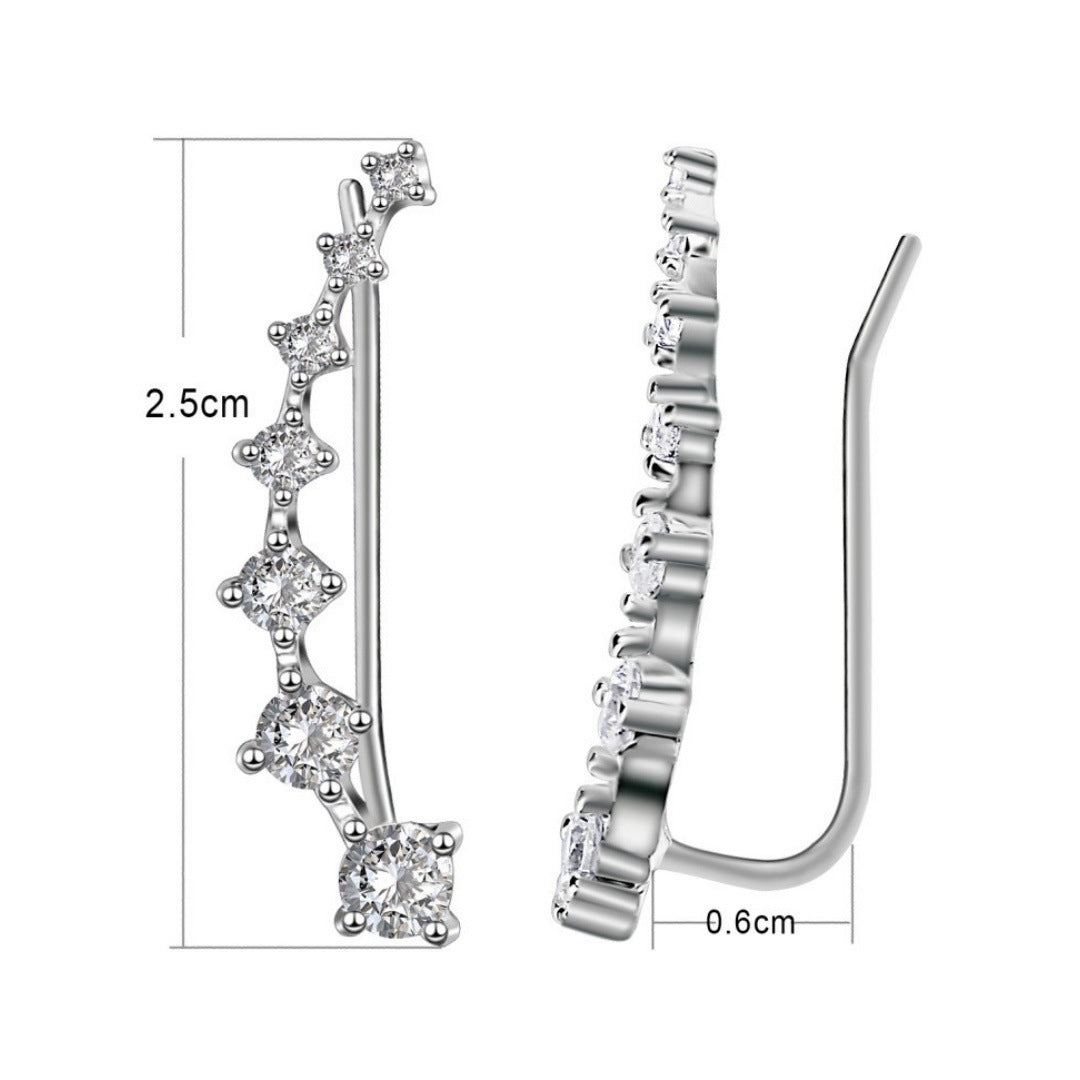 Classic Earring with Timeless Appeal