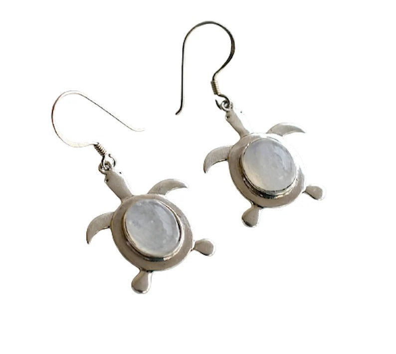 Classic Silver Earring with Timeless Appeal