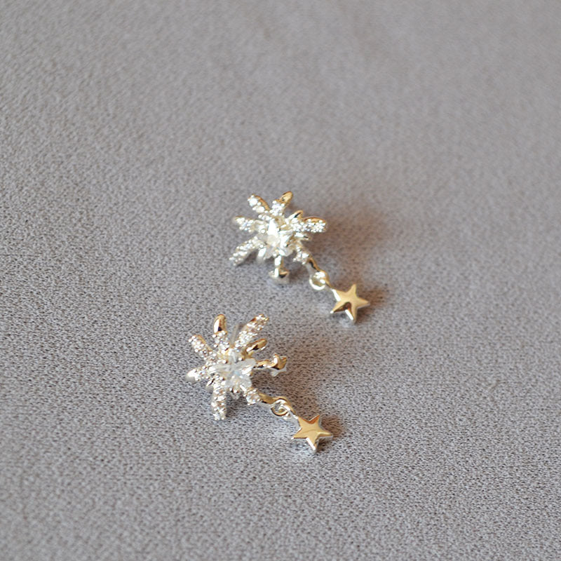 Beautiful Silver Earring with Unique Style