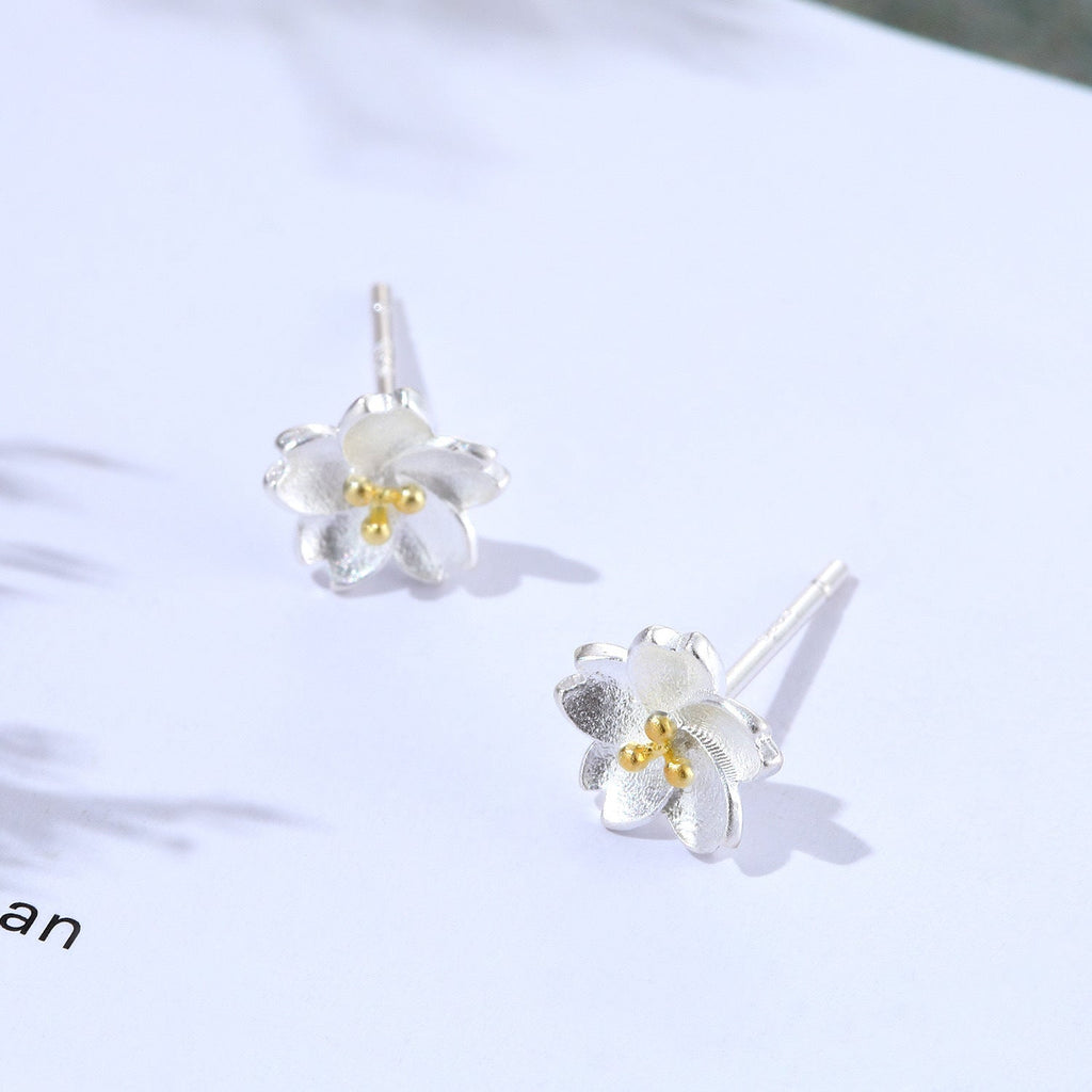 Charming Silver Earring for Any Occasion