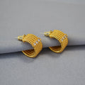 Stunning Silver Earring for Daily Wear