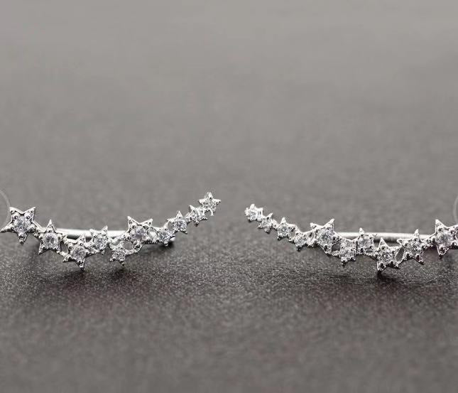 Stunning Earring for Daily Wear