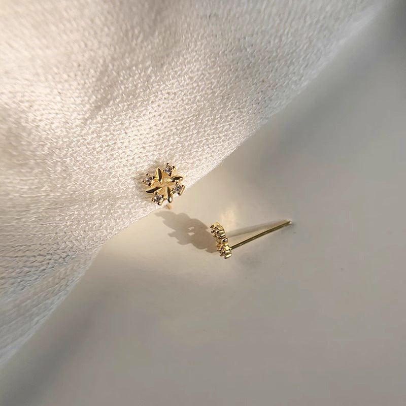 Beautiful Earring with Unique Style