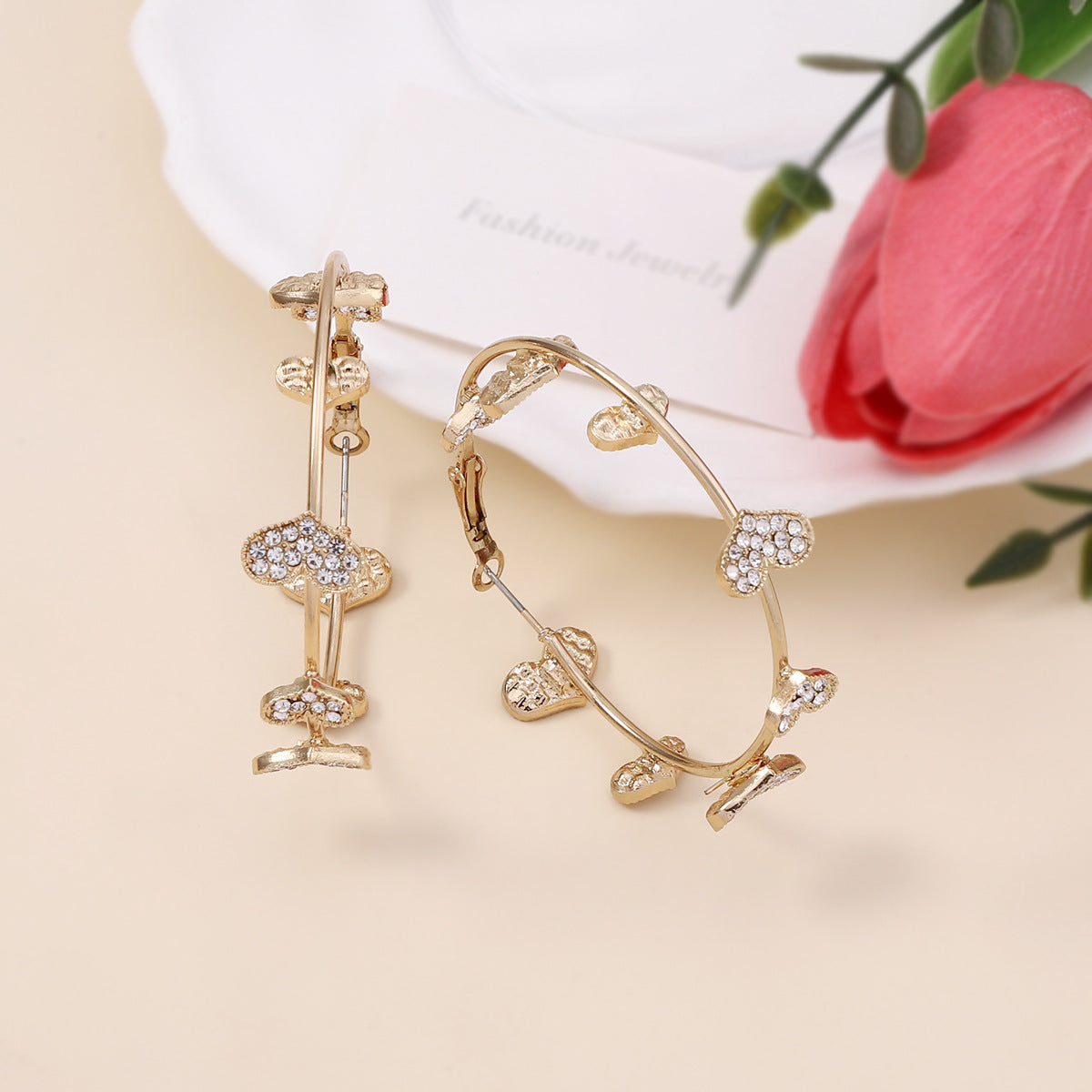 Beautiful Earring with Unique Style