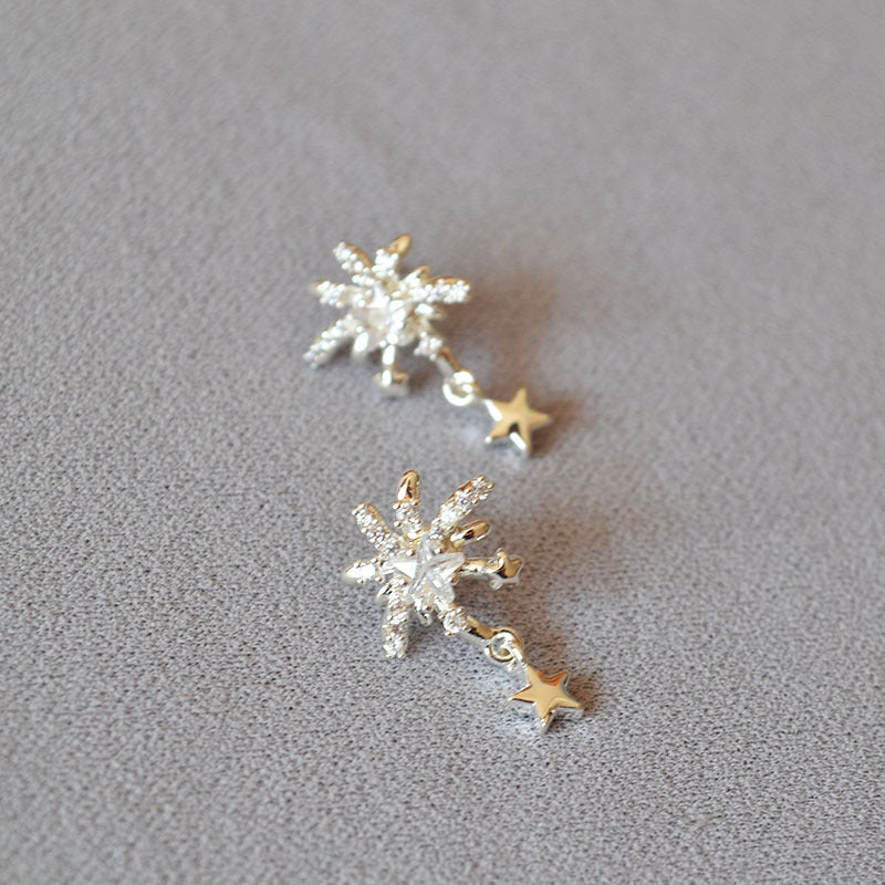 Beautiful Silver Earring with Unique Style