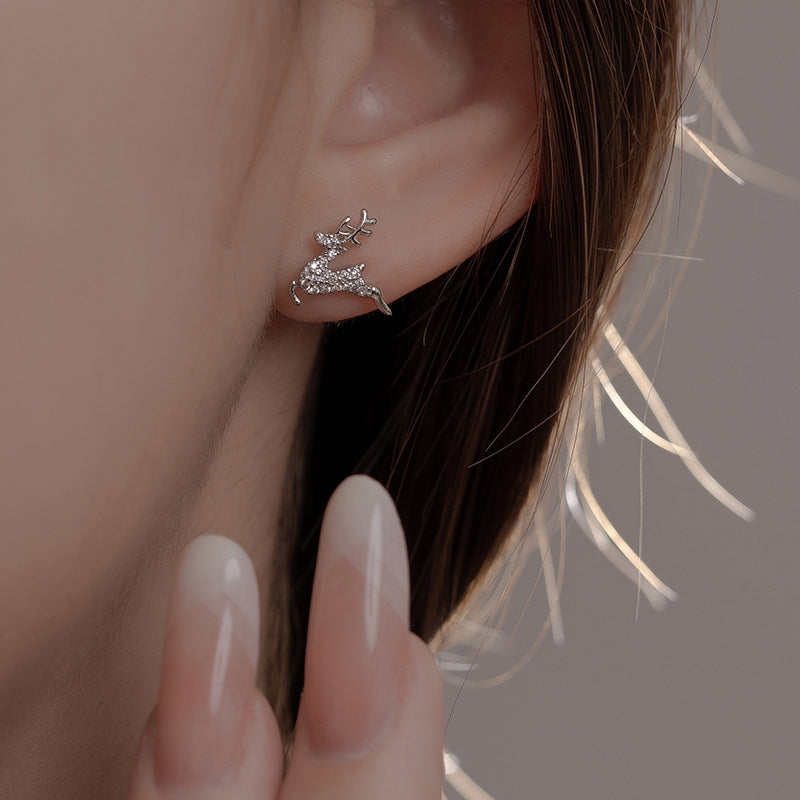 Charming Earring for Any Occasion