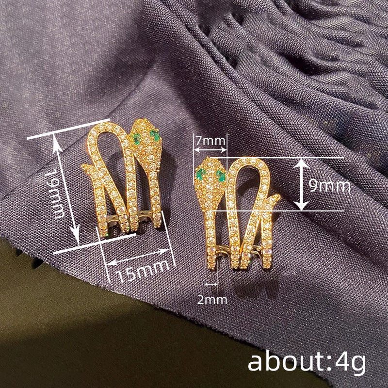 Charming Earring for Any Occasion