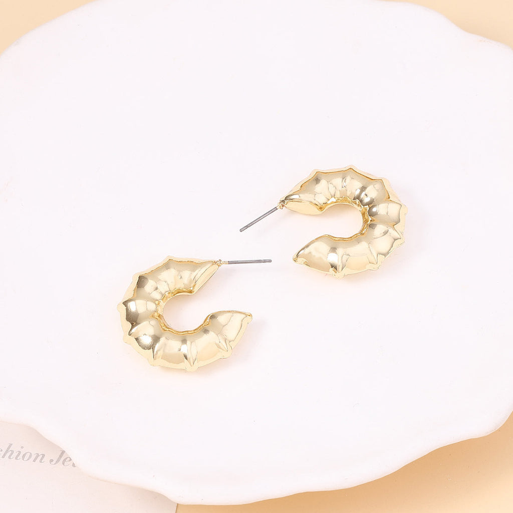 Charming Earring for Any Occasion