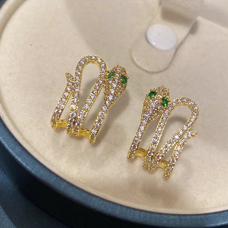 Charming Earring for Any Occasion