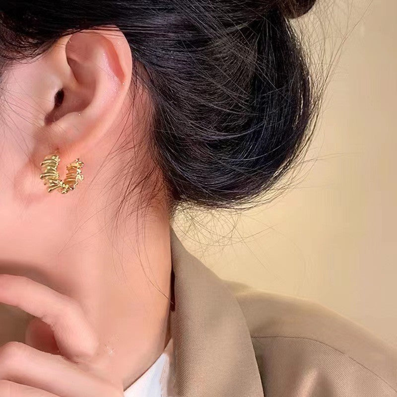 Stunning Earring for Daily Wear
