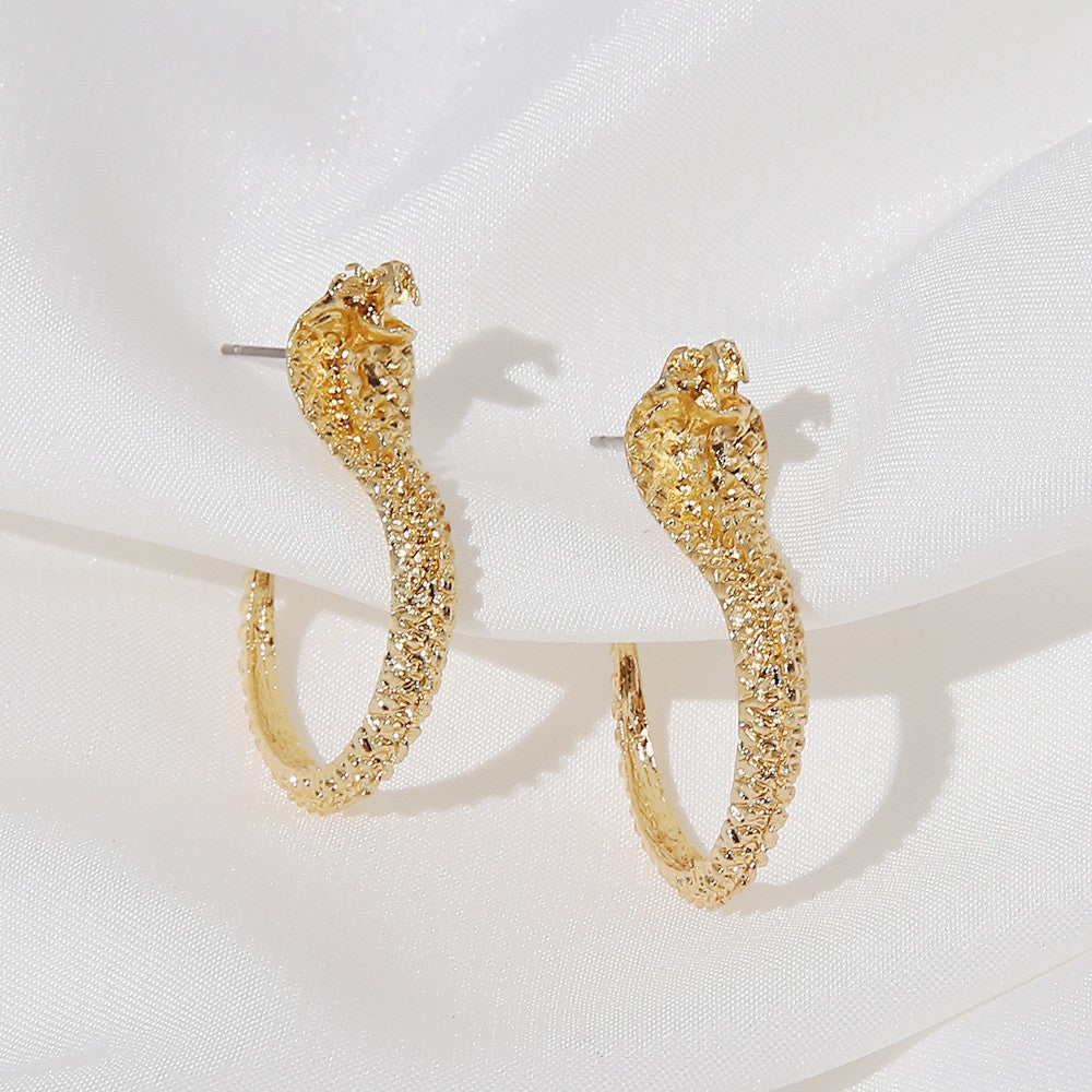 Elegant Earring for Every Occasion