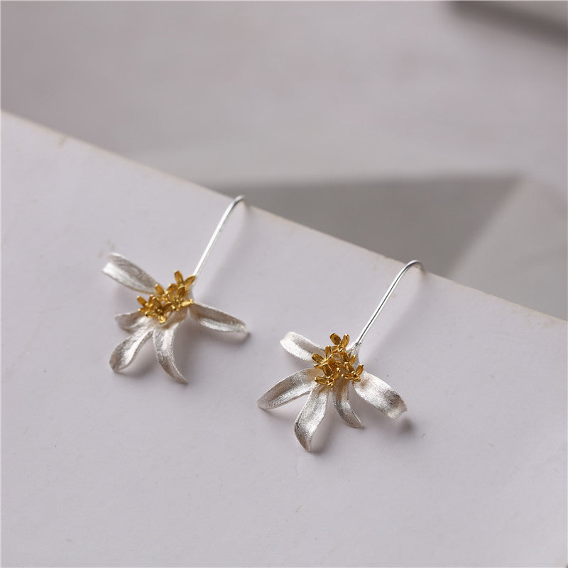 Beautiful Silver Earring with Unique Style