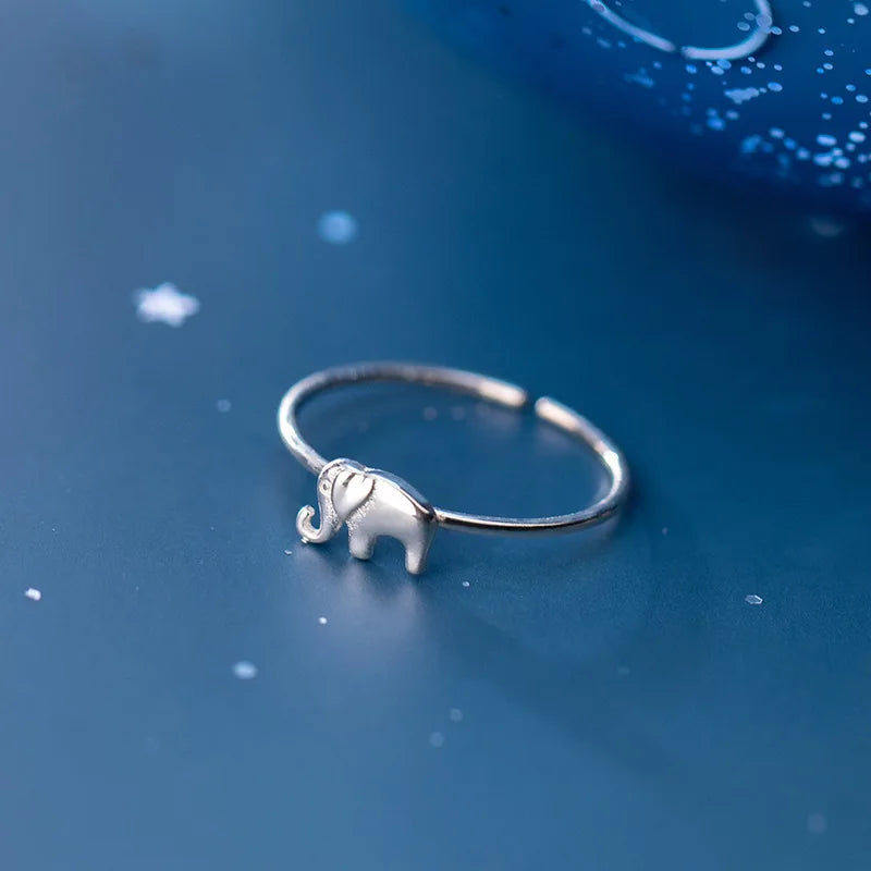Beautiful Silver Ring with Unique Style