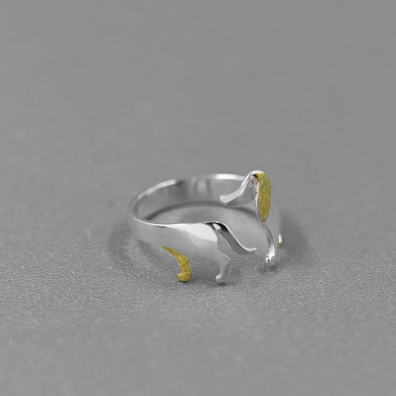 Beautiful Silver Ring with Unique Style