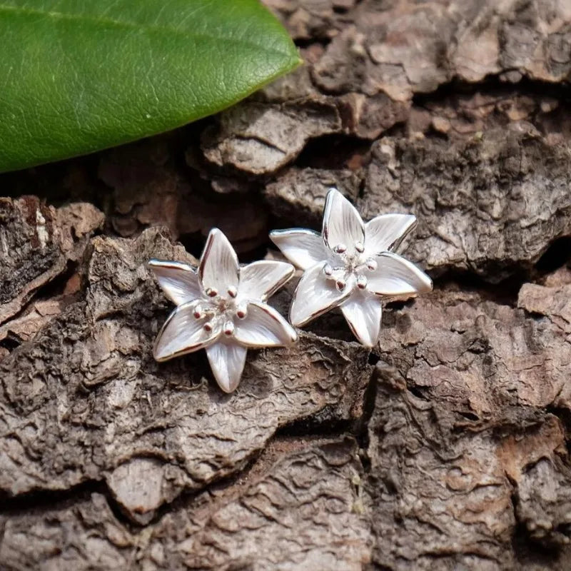 Classic Silver Earring with Timeless Appeal