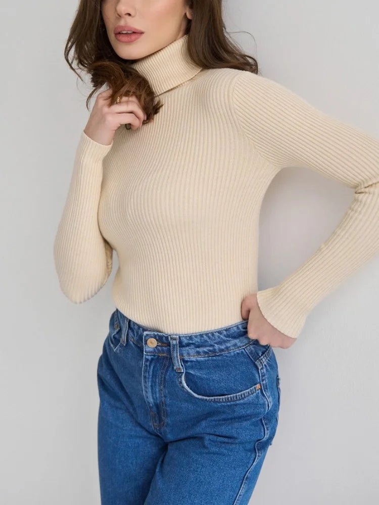 Refined and Radiant Sweater