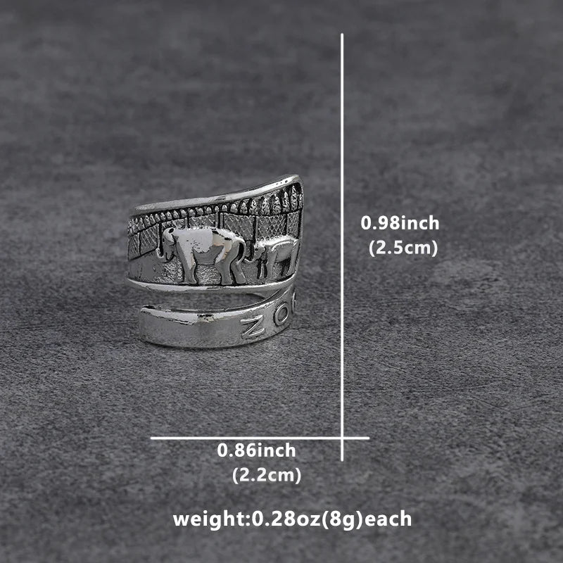 Charming Silver Ring for Any Occasion