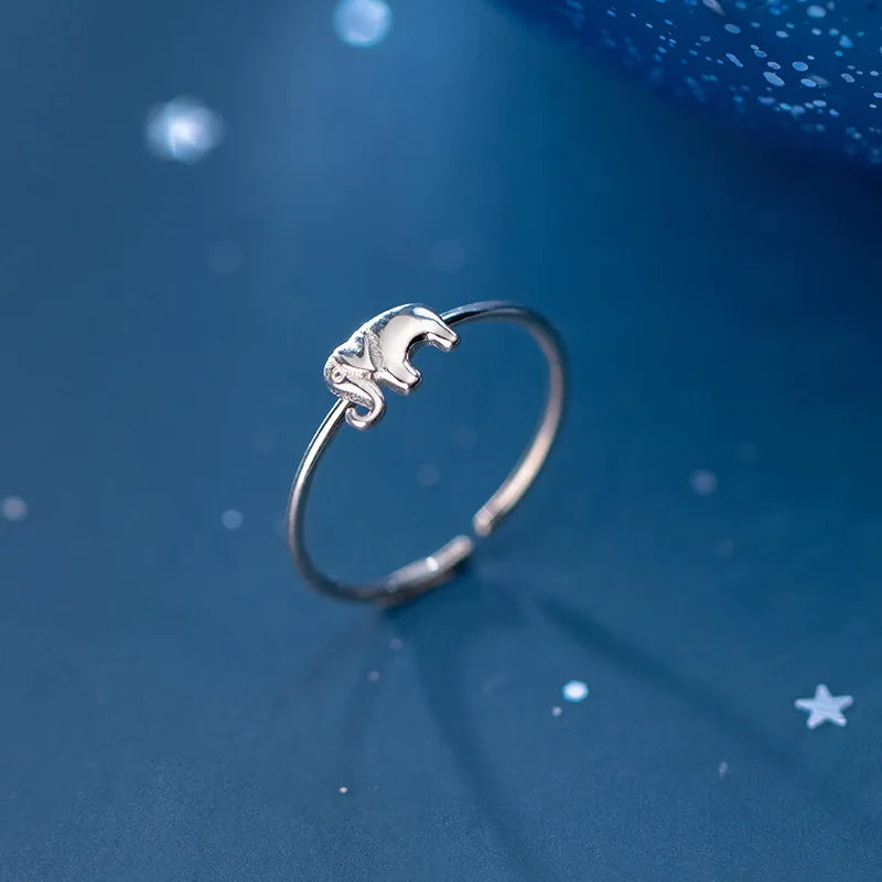 Beautiful Silver Ring with Unique Style