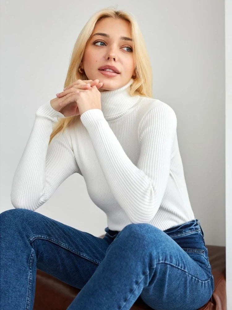 Stylish and Elegant Sweater