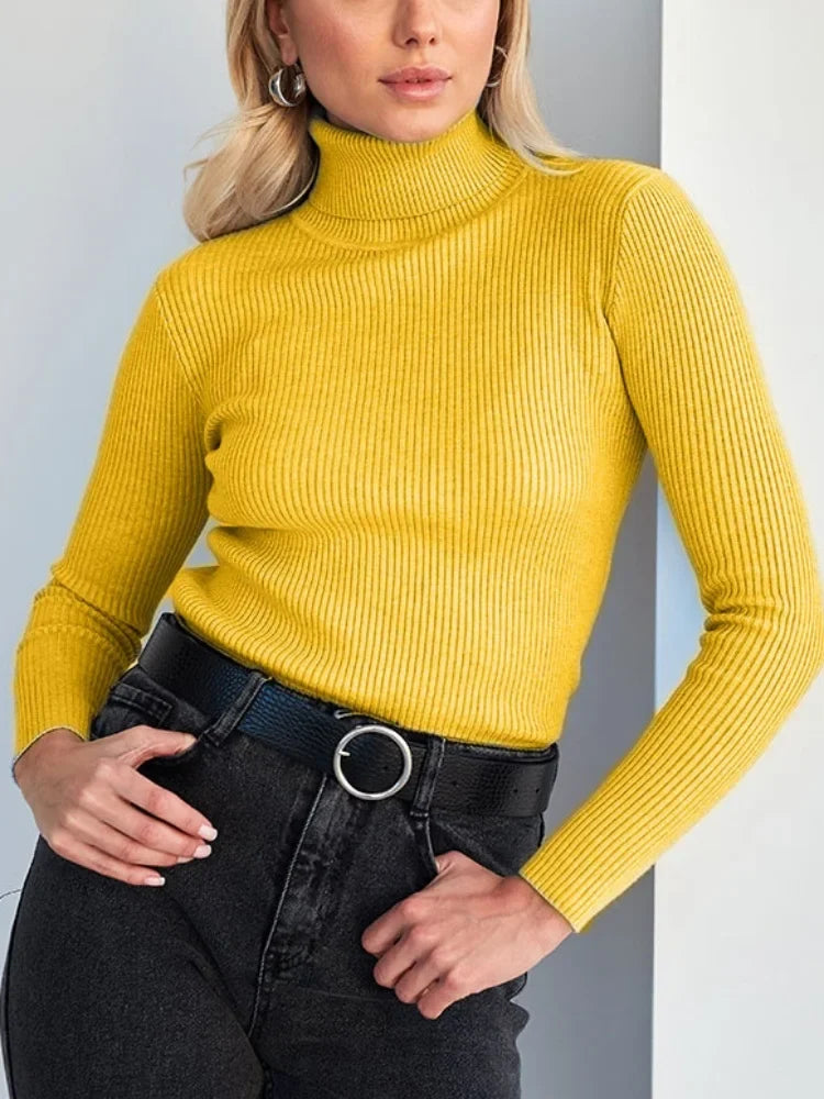 Refined and Radiant Sweater