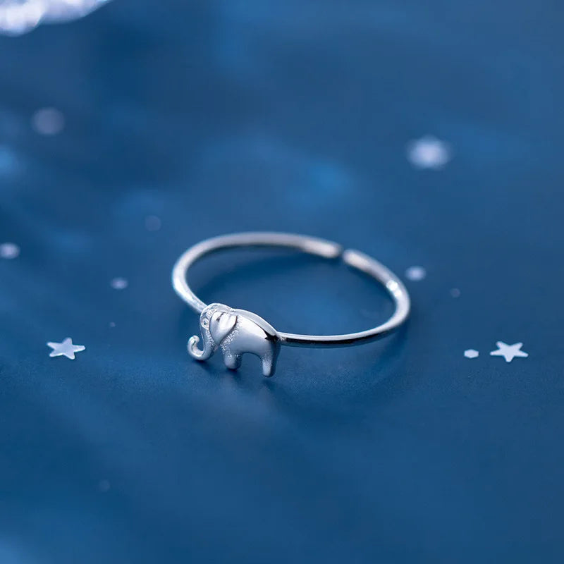 Beautiful Silver Ring with Unique Style