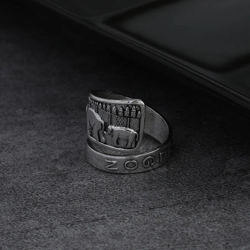 Charming Silver Ring for Any Occasion