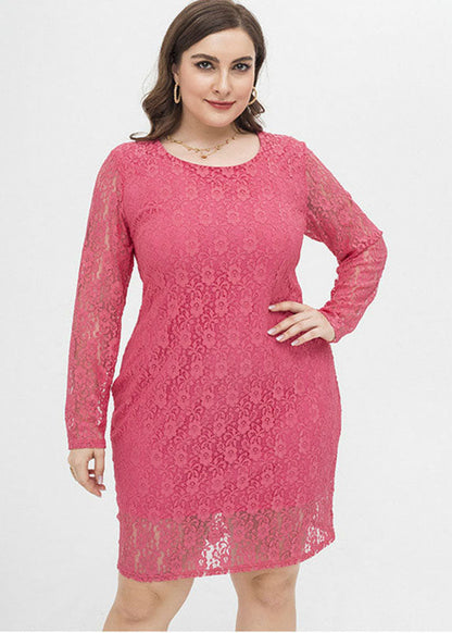 Unique Rose O-neck Lace Mid Dress Fall