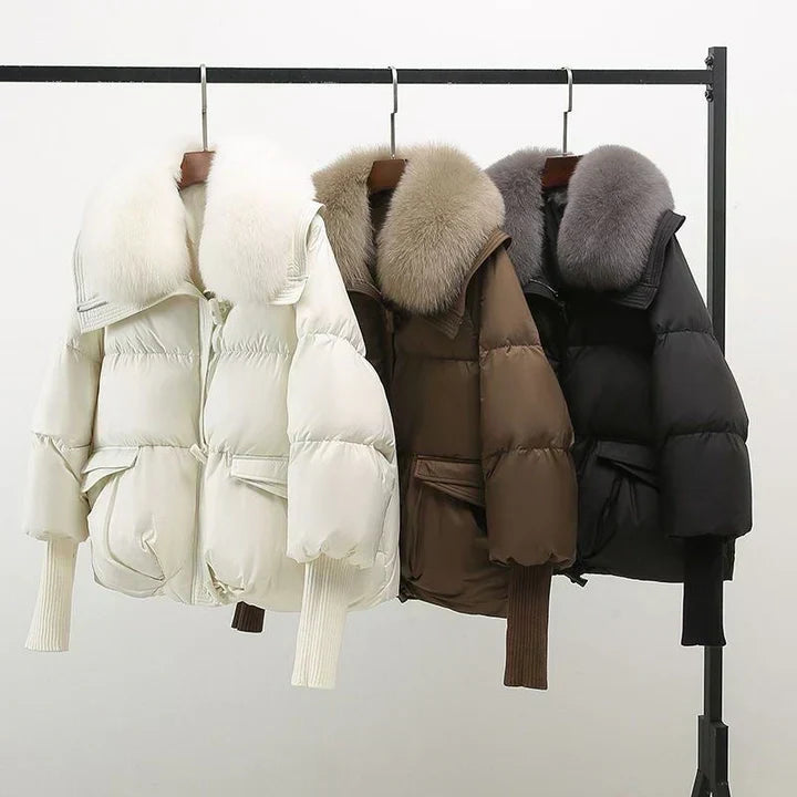Thoughtfully Designed Jacket