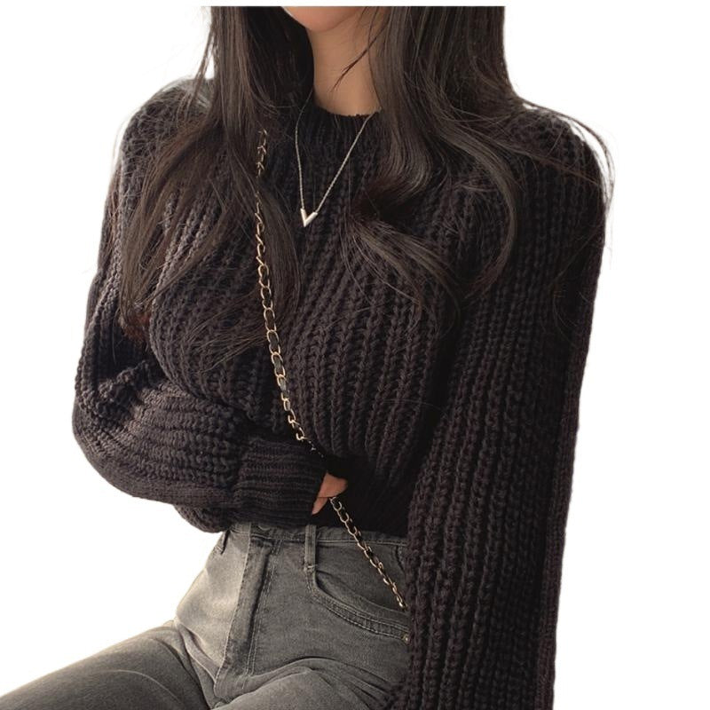 Elegantly Designed Sweater