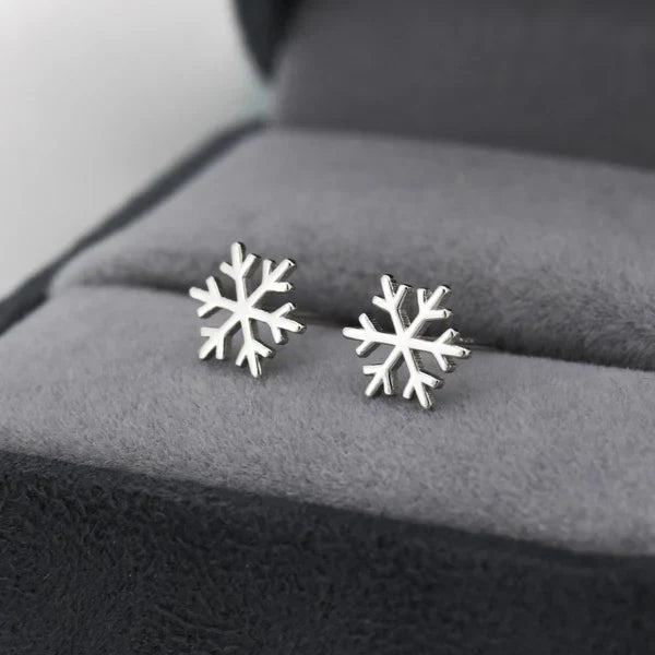 Stunning Silver Earring for Daily Wear