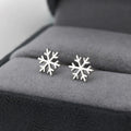 Stunning Silver Earring for Daily Wear