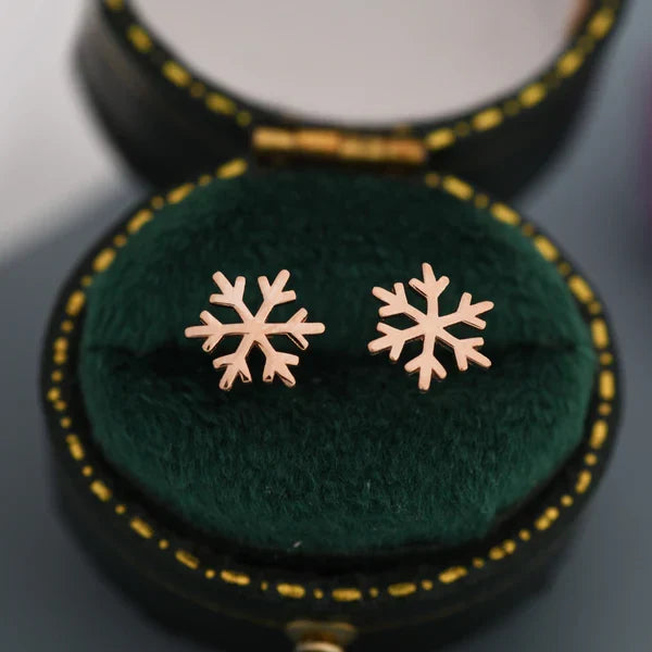 Stunning Silver Earring for Daily Wear