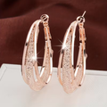 Elegant Bright Hollow Mesh Earrings